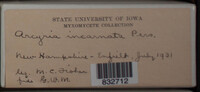 Image Associated With the Occurence